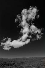 Desert Cloud 8299