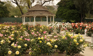 Historic Garden at Cal Poly